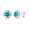 Örhängen vinregem real 925 Sterling Silver 100% Pass Test Diamond Fancy Blue Moissanite Stud Earrings for Women Gift Drop Shipping
