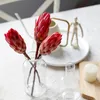 Dekorative Blumenkränze, 3 Stück, natürliche getrocknete Blumen, roter Schneelotus, für Zuhause, Hochzeit, Xmax-Dekor, originelle unsterbliche Blumen, Lagerzeit 2 Jahre