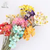 Decorative Flowers 10Pcs Natural Orchid Violet Dried Arrangement Wedding Party Supplies Office Desk Decor Boho Home Decoration Accessories