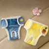 Abbigliamento per cani Pannolino Pantaloni fisiologici Sanitari Riutilizzabili Lavabili Mutandine femminili Pantaloncini Biancheria intima Slip per mestruazioni Pannolino WrapCane