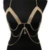 Erotische sexy borstketen accessoires Dames hartafwerking accessoires Rhinestone beha