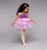 ステージウェアガールズキッズダンスウェアバレエドレスカジュアルノースリーブアクリルバイオレットプリンセスドレスダンス服B-2420