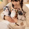 25cm gerçek hayattaki sevimli peluş kedi bebek yumuşak doldurulmuş hayvan oyuncakları çocuklar için karikatür çocuklar kız bebek doğum günü hediyesi