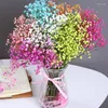 Fiori decorativi Natale Gypsophila Baby Breath Milioni di stelle Pianta naturale Conservata Essiccata Casa Matrimonio Anno Decorazione Personalizzata