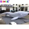 Tema marino d'attaccatura modello gonfiabile gigante del fumetto dell'animale di mare del pallone della balena per l'esposizione all'aperto