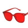 Occhiali da sole vintage rotondi da uomo antiriflesso classici moda occhiali montatura marchi design plastica sole uv400