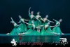 Dancewear Adult Professional Ballet Tutu Dress Show Window Show Performance Jurk Sleeping Beauty Pan Rok kinderen Dance Costume 230520