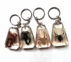 Keychains YQTDMY 8 Pcs Fashion Big Size Scorpion Spider Design Charming Keychain