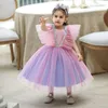 Abiti da ragazza Abito estivo da ragazza per bambini Manica a sbuffo stereoscopico Principessa Baby Birthday Mesh 1st Party