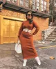 Robes décontractées femmes élégantes femmes 2023 automne hiver mode couleur unie col haut tricoté longue robe (sans ceinture)