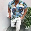 Tamanhos grandes XL Camisas casuais masculinas de manga curta Camisa havaiana de verão Vários padrões Roupas masculinas Cardigan Blusa Camisa de grife Chemise Homme