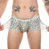 Underbyxor Leopard Print Boxers Män underkläder Sexig U-påmsida Mesh Sheer se genom tunna trosor herrboxare shorts mini stammar