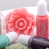 Bileşenler DIY Crafts için 24 Pikt Pigment Alkol Mürekkep Sıvı Renkli Boya Reçine Takı Yapımı Morandi Epoksi Reçine Yağlı Pigment