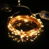 Strings USB Fairy Lights 5m 10m ciepłe białe światło sznurkowe z zdalnym kontrolerem na świąteczne przyjęcie świąteczne dekoracja