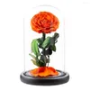 Dekorativa blommor Attraktiva snygga synliga oändligheter Rose i glasskupolprydnadsestetiska festivalförsörjning