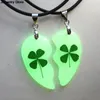 Pendant Necklaces Luminous Couple 2 Pcs/Pair Heart Shape Necklace Natural Dried Flower Glow In The Dark Jewelry Gift