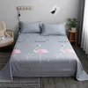 Bedding sets 3PCSSet Soft SkinFriendly Bed Sheets Pillowcase Bedroom Dormitory Comfortable Brushed Sheet Thick Breathable Sheet 230522