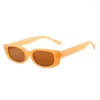 Lunettes de soleil Box Personnalité Multicolore Bonbons Couleurs Femme Tendance Mode Rétro Hommes Street S Drive UV