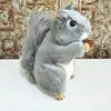 Drôle Mignon Animal Poupée Écureuil En Peluche Enfants En Peluche Jouet Décorations Cadeau D'anniversaire Anti-rides Oreiller Mignon Dessin Animé Animaux Jouets Pour Enfants Cadeau De Noël