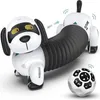 Toys eletrônicos de animais de estimação Robô Inteligente Dog 2.4g Controle remoto sem fio Child Falando brinquedos de cães eletrônicos inteligentes para crianças Presentes programáveis ​​230523