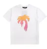 パームツリーTシャツ夏のファッションメンズアンドレディースデザイナーTシャツ長い豪華な手紙コットンTシャツ衣類