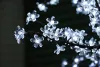 Arbre artificiel imperméable à l'eau de lumière d'arbre de fleur de cerisier de LED 540leds rose vert blanc bleu couleur pour le mariage de vacances de Noël