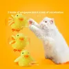 Cat Toys Smart Automatyczne zabawki kota Zaklapowanie Kaczka Interaktywna elektryczna zabawka Ptak Plush Pluszowa zabawka z czujnikiem wibracji z kocimię