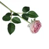 Flores decorativas hermosa rosa artificial boda decoración de mesa para el hogar DIY ramo largo arreglo planta falsa regalos del Día de San Valentín