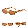 Lunettes de soleil Box Personnalité Multicolore Bonbons Couleurs Femme Tendance Mode Rétro Hommes Street S Drive UV