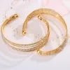 Bangle 2pcs/Set 2021 Nowa gorąca wyprzedaż srebrna płyta łańcucha węża Bransoletka Bransoletka Fit Fit Charms for Women Jewelry Prezent Świąteczny