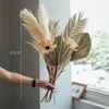 Decorative Flowers Large Pampas Grass Dried Palm Leaves Natural Trimmed Decoration Party Art Wall Hanging Boho Wedding Decor