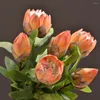 Flores decorativas MBF de alta qualidade Protea Flower Bouquet Diy Arrangem Floral Falsa Imperador em casa