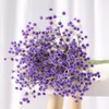 Flores decorativas Breath's Breath do bebê 60 cm de perfume noturno artificial babysbreath flor gypsopsophila plantas falsas em casa