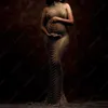 マタニティドレスマタニティフォトグラフィーガウンベビーシャワードレスセクシーな光沢のあるラインストーン女神ボディスーツ妊婦写真撮影小道具T230523