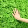 Party Decoration 2040g Artificial Green Plants Eternal Life Moss Grass Home Living Room Garden Mini Landscape Fake Flower DIY Crafts 230522