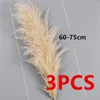 Decorative Flowers Large Pampas Grass Dried Palm Leaves Natural Trimmed Decoration Party Art Wall Hanging Boho Wedding Decor