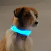 Colliers pour chiens Laisses rechargeables USB Fournitures pour animaux de compagnie Colliers à LED Lumière de sécurité en nylon Collier lumineux clignotant