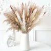 Decorative Flowers Fluffy Pampas Grass Natural Dried Flower Bouquet Garden Decor Tail Reed Wedding Party Po Props Decoration
