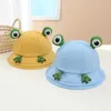 Шляпы шляпы Детская весна и осенняя лягушка Рыбак мультфильм солнечный досуг.