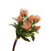 Flores decorativas MBF de alta qualidade Protea Flower Bouquet Diy Arrangem Floral Falsa Imperador em casa