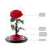 Dekorativa blommor Attraktiva snygga synliga oändligheter Rose i glasskupolprydnadsestetiska festivalförsörjning