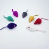 Jouets 5 Pcs Chat Creative Fausse Souris Pet Chat Jouets Tour Accessoires Pas Cher Mini Drôle Jouer pour Chats Chaton Multi Couleur Aléatoire Taille 5 * 2 cm G230520