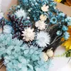 Decoratieve bloemen 1 pk echte gedroogde bloem droge planten voor kaarsen epoxy hars hang ketting sieraden maken ambacht diy