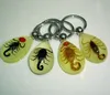 Keychains Luminous Real Scorpion Key Chain - Product Crab en Keychain Bag Car Ring #1-17067