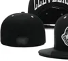 2023 Men's Clevand Baseball Fitted Caps NY La Sox C Letter Gorras för män Kvinnor Fashion Hip Hop Bone Hat Summer Sol Sports Size Casquette Snapback A0