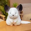 Plush Dolls Hamster Pillow Cute Plushy Chinchillas Plush Doll Soft Toy Stuffed Animals Mascot for Kids Christmas Toys Cute Pillows Plush Toy 230523