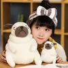 Partihandel Creative Cute Pug Plush Toys Children's Games Playmates Holiday Presents Room Ornament