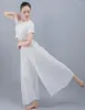 Vêtements de scène pantalon de danse latine pantalon d'entraînement modal pantalon de danse Tango valse Costumes femmes salle de bal compétition ventre