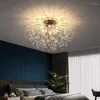 Światła sufitowe Lampa Lampa Lampa Nordic Modern Dandelion salon sypialnia Studia Firefly żyrandola