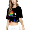 Pride LGBT T-shirt Gay Lesbian Rainbow Design Design print T-shirts voor mannen en vrouwen Casual Summer Love Is Love T-shirt kleding unisex groot formaat 4xl